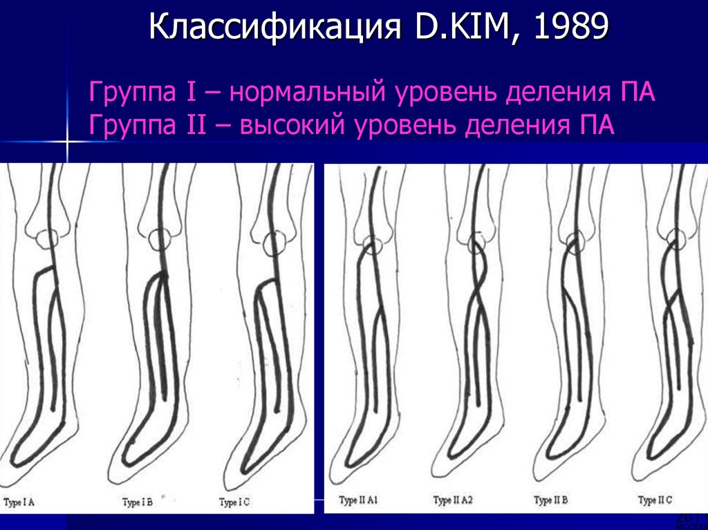 Классификация д. Классификация Ким. Классификация d Kim артерии голени. Классификация d. Kim артерий.