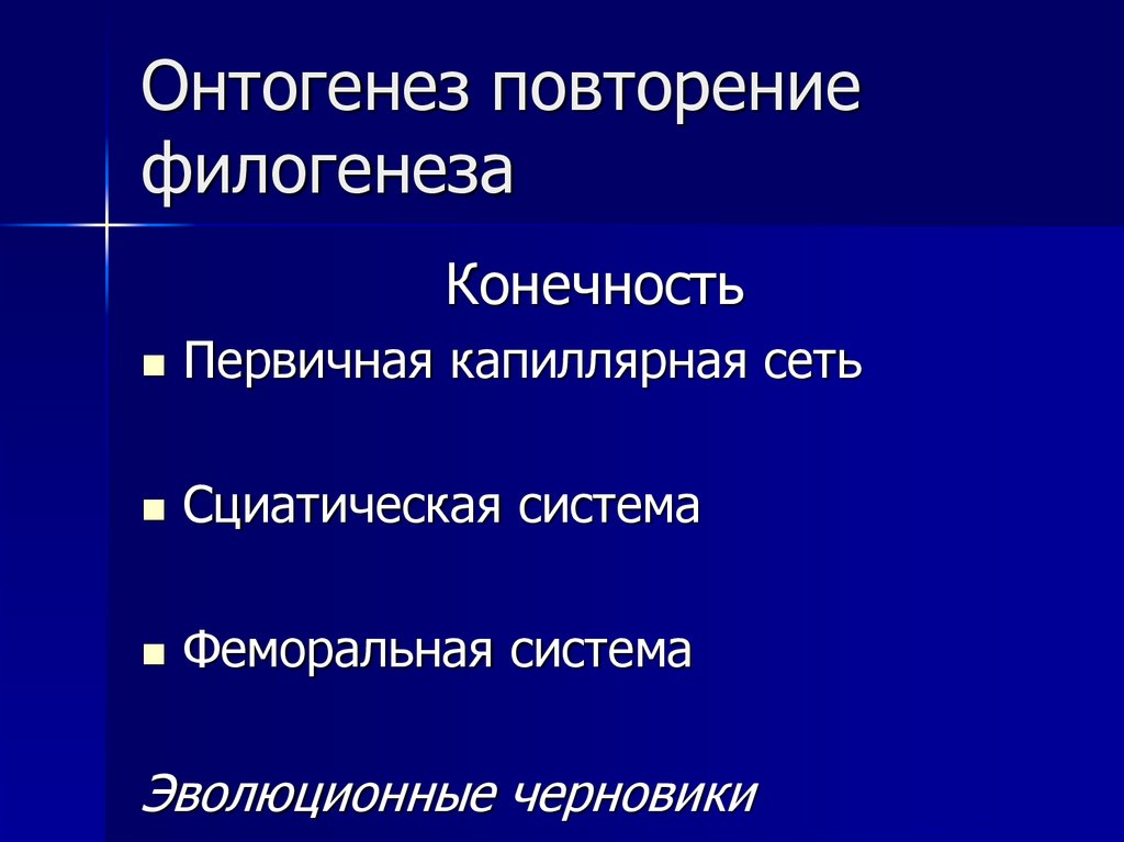Онтогенез повторение филогенеза