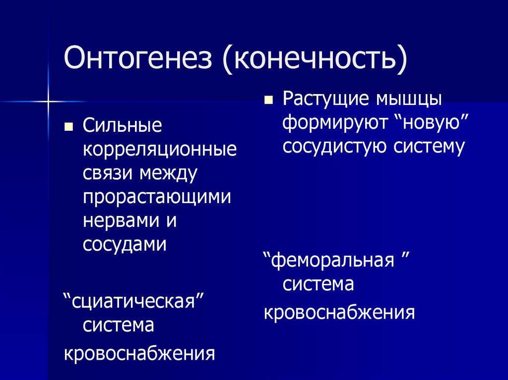 Онтогенез (конечность)
