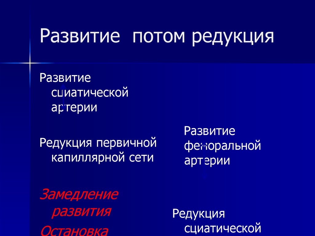 Развитие потом редукция
