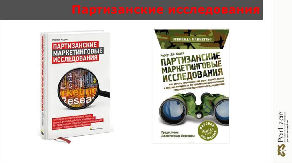 Партизанские исследования