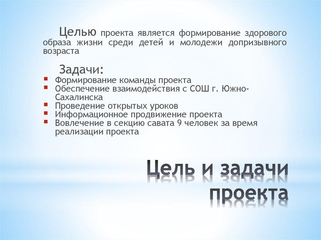 Цель и задачи проекта