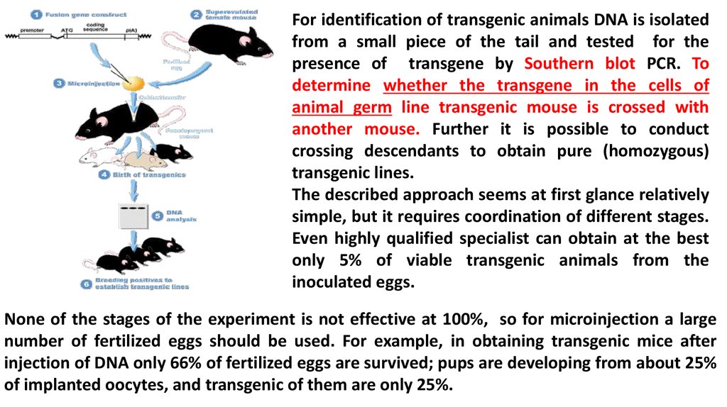 read Biotransformation der