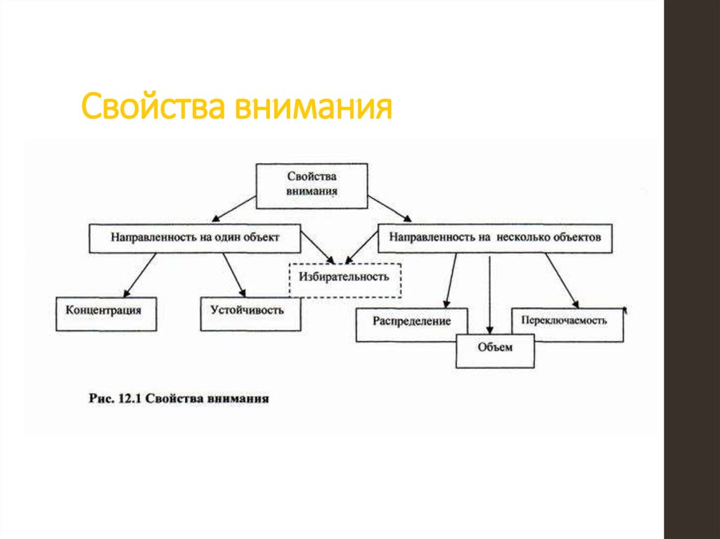 Стили внимания. Функции виды свойства внимания. Свойства внимания в психологии таблица. К свойствам внимания относят. Характеристика видов внимания.