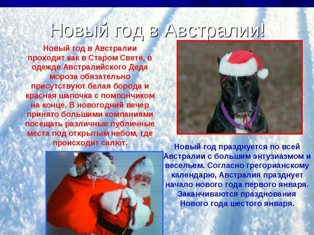 новый год в австралии традиции. новый год в австралии презентация. новый год в австралии презентация. новогодние традиции австралии. новый год в австралии презентация.