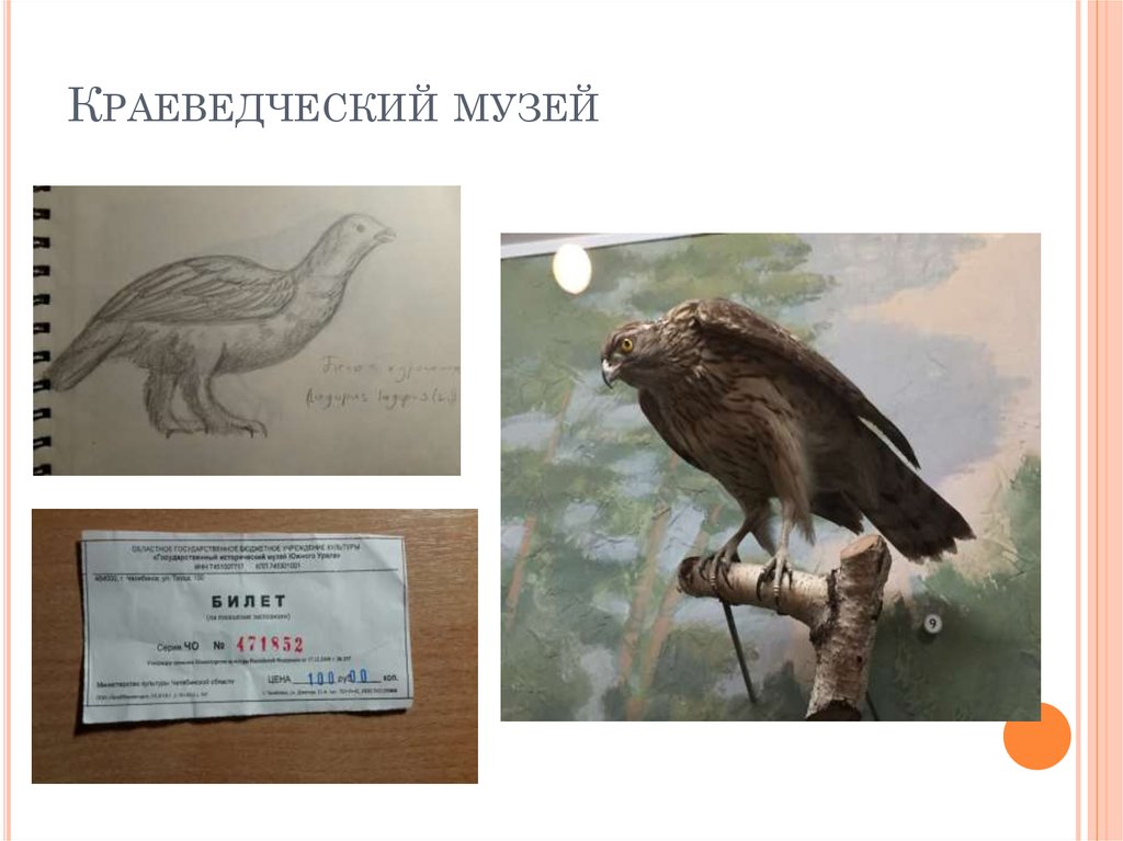 Краеведческий музей