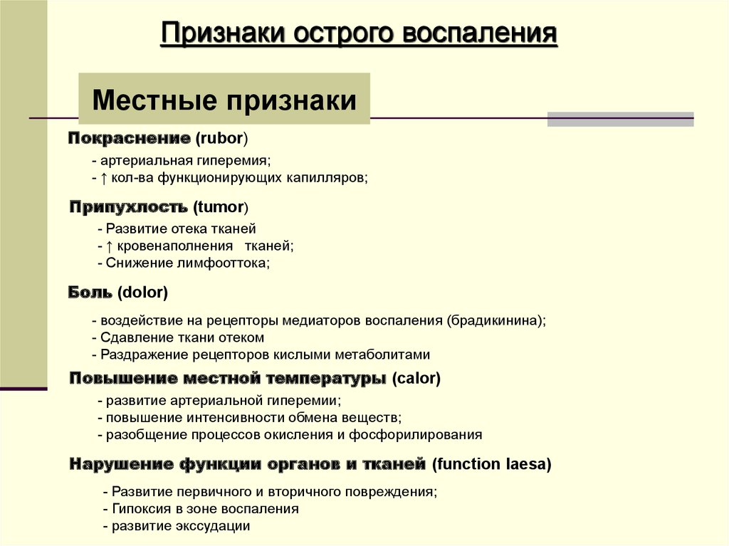 5 признаков воспаления на латинском