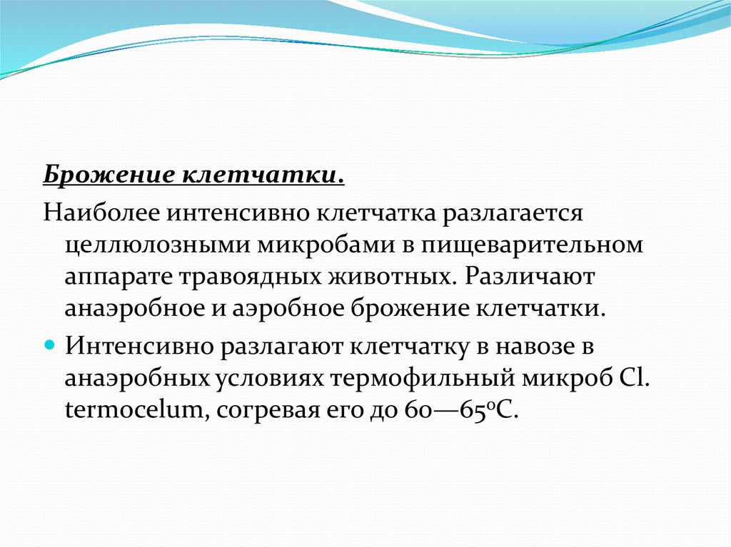 Разложение целлюлозы. Аэробное брожение клетчатки. Брожение клетчатки химическая реакция. Аэробное брожение клеткачки. Аэробное разложение клетчатки.