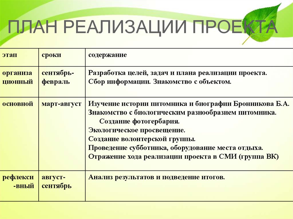 План реализации проекта пример в виде таблицы в школе