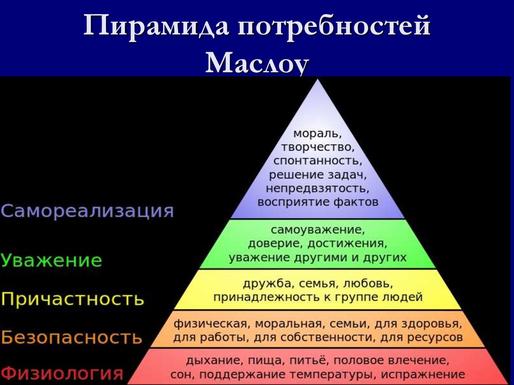 Только игрушка удовлетворяет потребности телочки