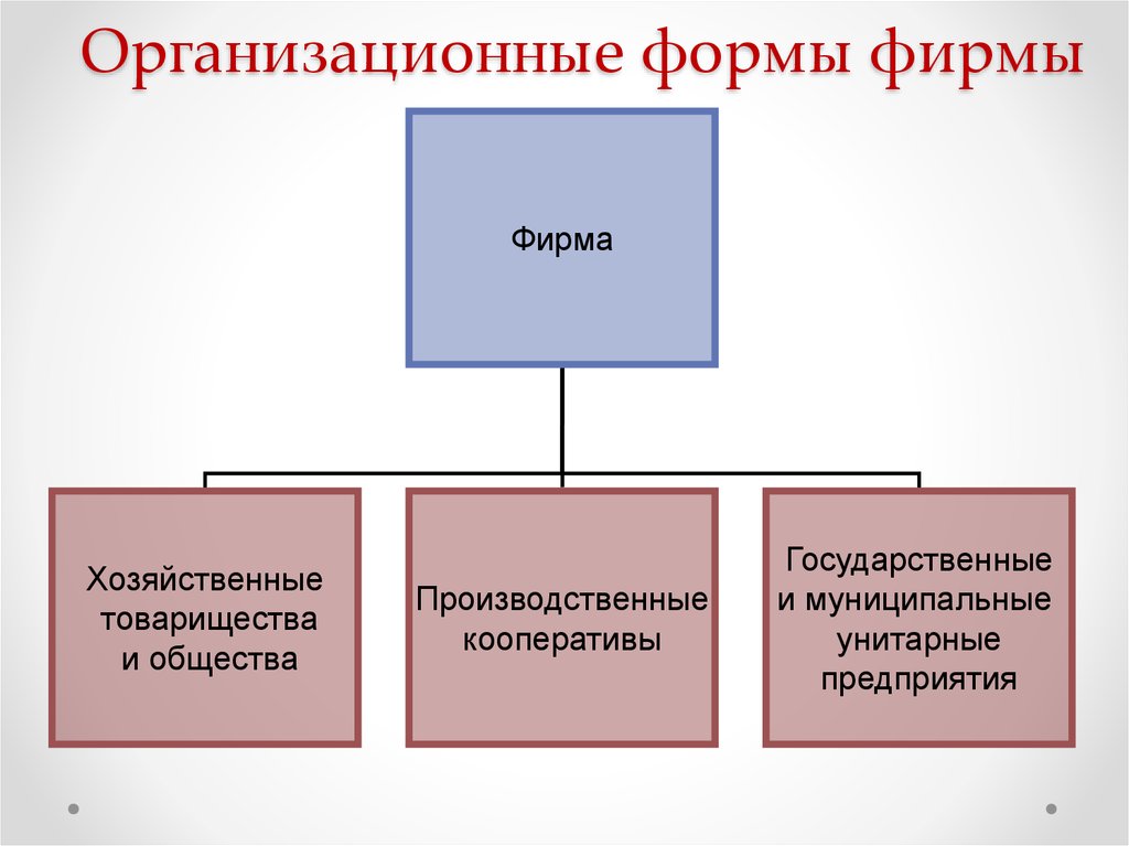 Унитарные предприятия кооперативы. Структура товарищества. Полное товарищество структура фирмы. Формы фирм в экономике. Организационная структура товарищества на вере.