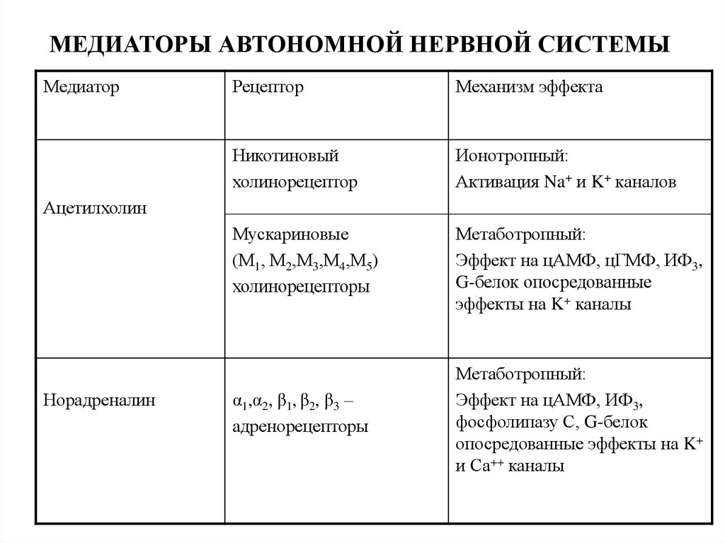 Медиаторы нервной системы. Медиаторы автономной нервной системы таблица. 6) Медиаторы и рецепторы ВНС.. Медиаторы и рецепторы вегетативной нервной системы. Медиаторы вегетативной нервной системы таблица.