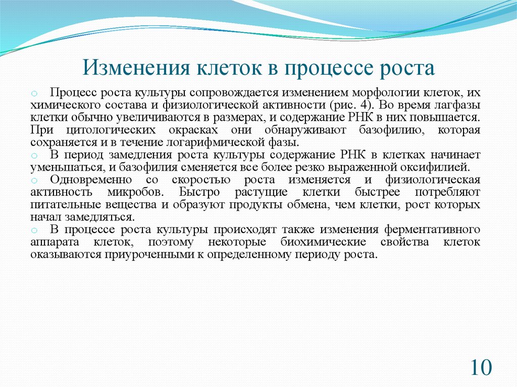 Ростов термин. Изменения происходящие в процессе роста клетки. Характеристика процесса роста клетки. Рост культур клеток. Культура клеток изменения.