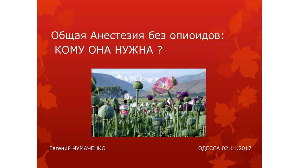 Общая анастезия - online presentation