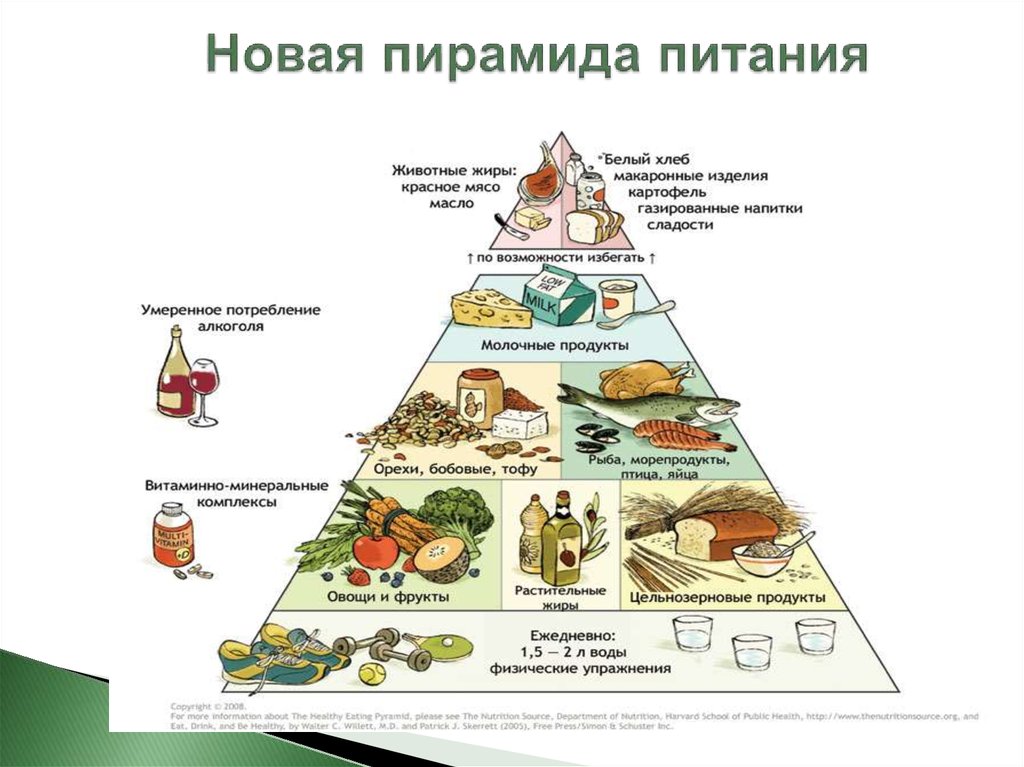 Для чего диетологи придумали пирамиду питания