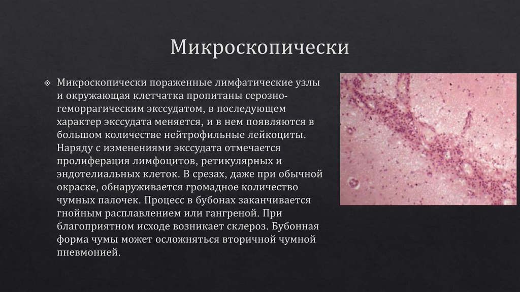 Микроскопически