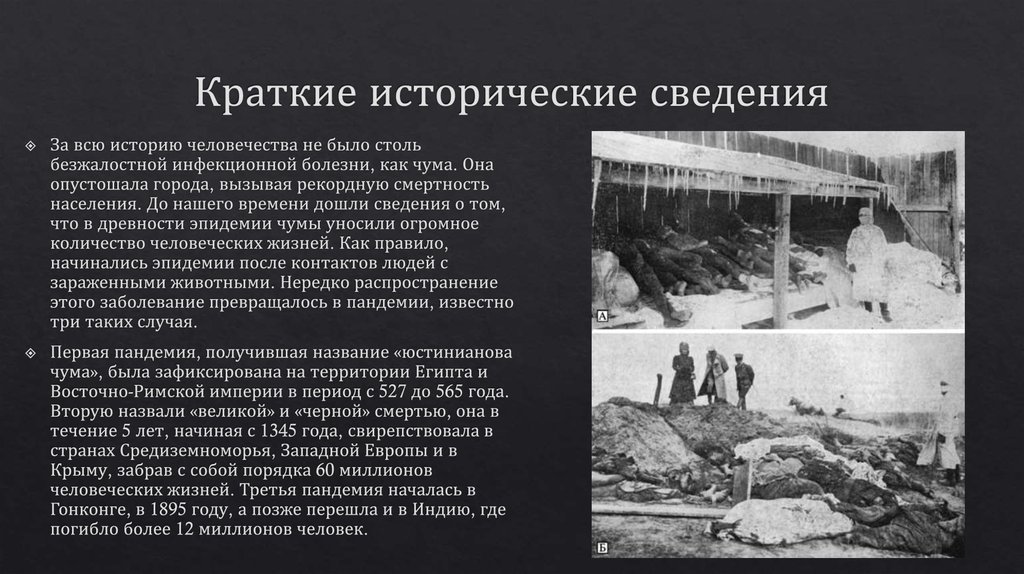 Краткие исторические сведения