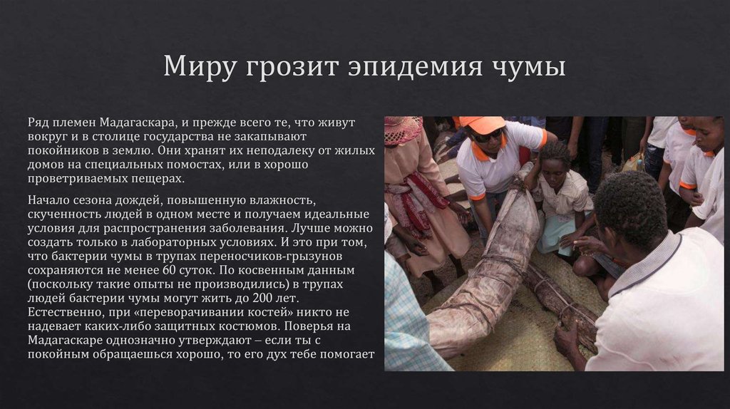 Миру грозит эпидемия чумы