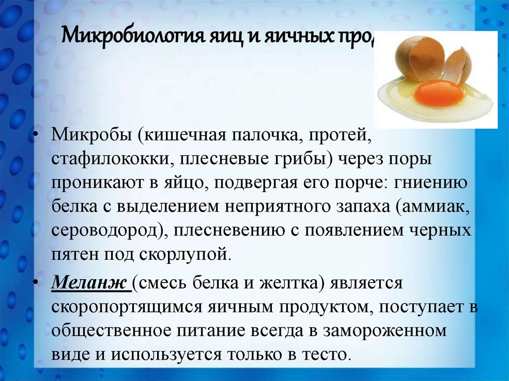 Микробиология продуктов питания презентация