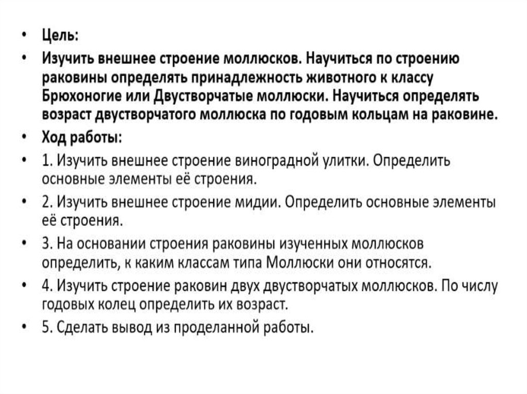 Лабораторная работа моллюски. Вывод о строении моллюсков. Вывод изучение строение моллюска. Вывод по моллюскам. Выводы внешнего строения раковин моллюсков.