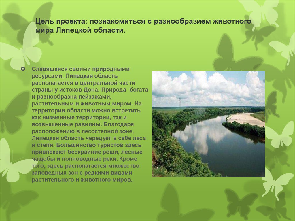Цель проекта: познакомиться с разнообразием животного мира Липецкой области.  