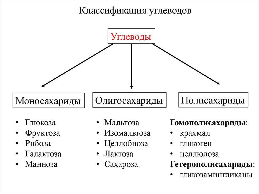 Три группы в соответствии с. Общая классификация углеводов. Классификация углеводов моносахариды. Классификация углеводов моносахариды олигосахариды полисахариды. Углеводы классификация в физиологии.
