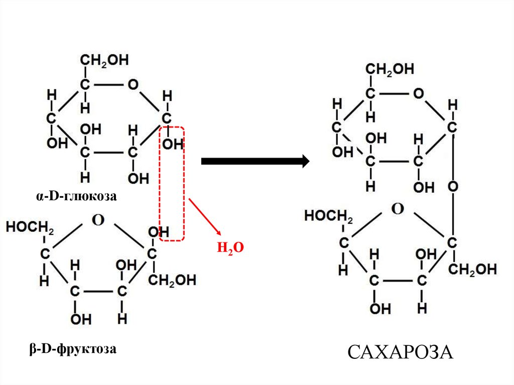 Фруктоза это углевод. Фруктоза строение линейное. Структура b Глюкоза. Глюкоза фруктоза сахароза формулы. Рибоза Глюкоза фруктоза.