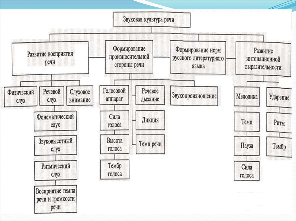 Компоненты культуры речи. Разделы звуковой культуры речи схема. Звуковая культура речи схема. Приемы звуковой организации речи. Приемы звуковой организации текста.