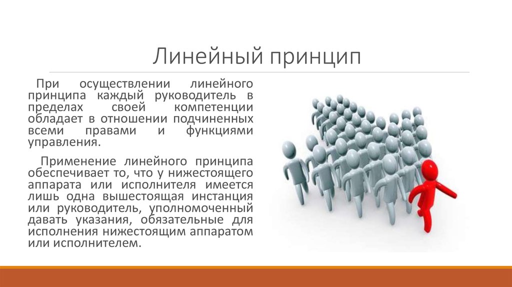 Каждый руководитель. Линейный принцип. Линейный принцип изучения. Линейный принцип гос управления. Принцип линейности.