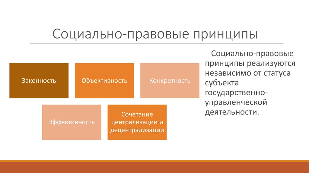 Государственно правовые принципы. Социально правовые принципы. Социально юридические принципы. Принципы социального права схема. Укажите Общие социально-правовые принципы (в РФ):.