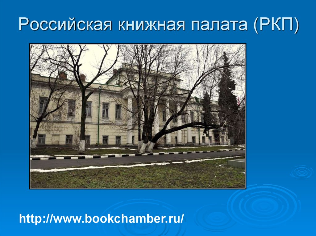 Книжная палата. Российская книжная палата (РКП).. Российская книжная палата 1917. Основана Российская книжная палата. День основания Российской книжной палаты.