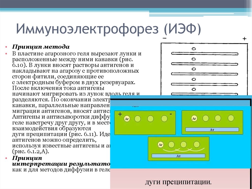 Принцип метода. Встречный иммуноэлектрофорез микробиология. Реакция преципитации иммуноэлектрофорез. Метод встречного иммуноэлектрофореза. Реакция иммуноэлектрофорез схема.