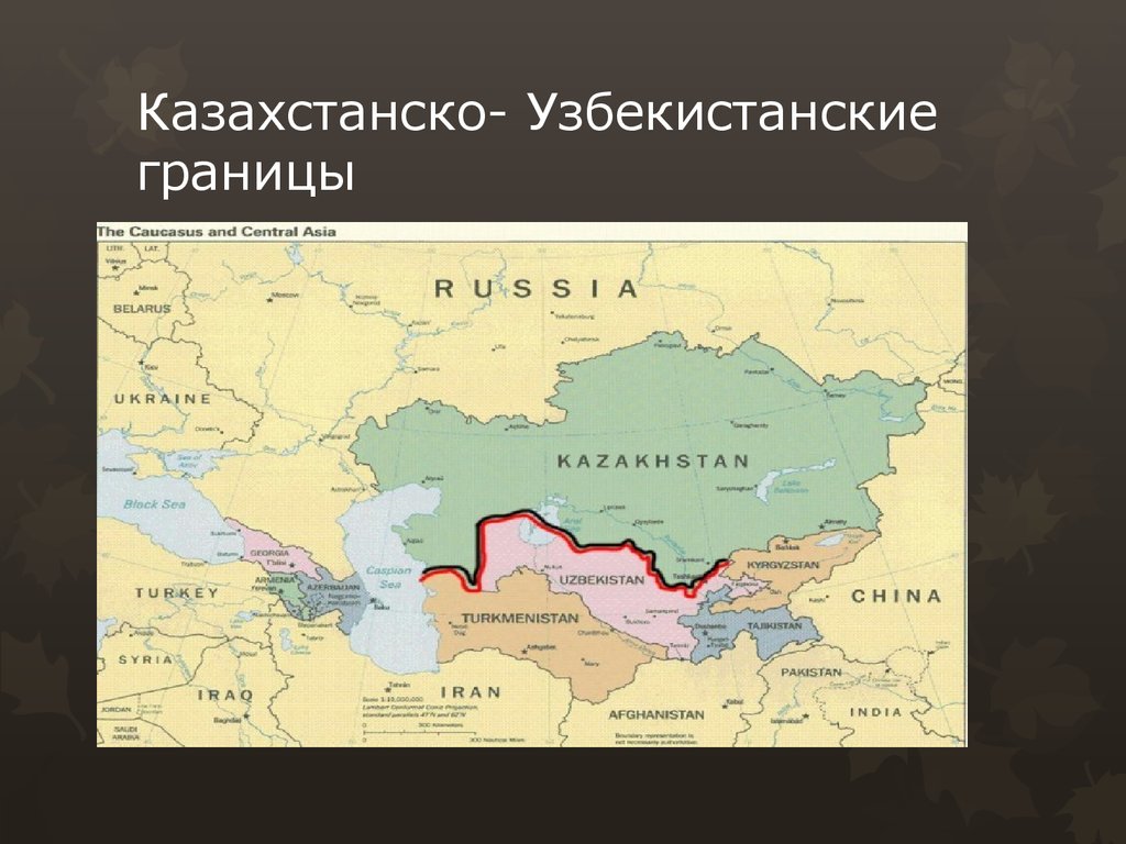 Снт на границе казахстана образец