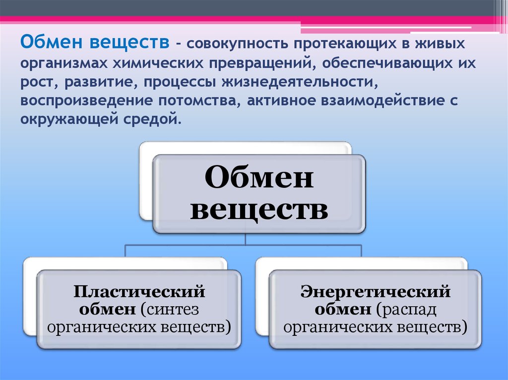 Презентация на тему обмен веществ и энергии