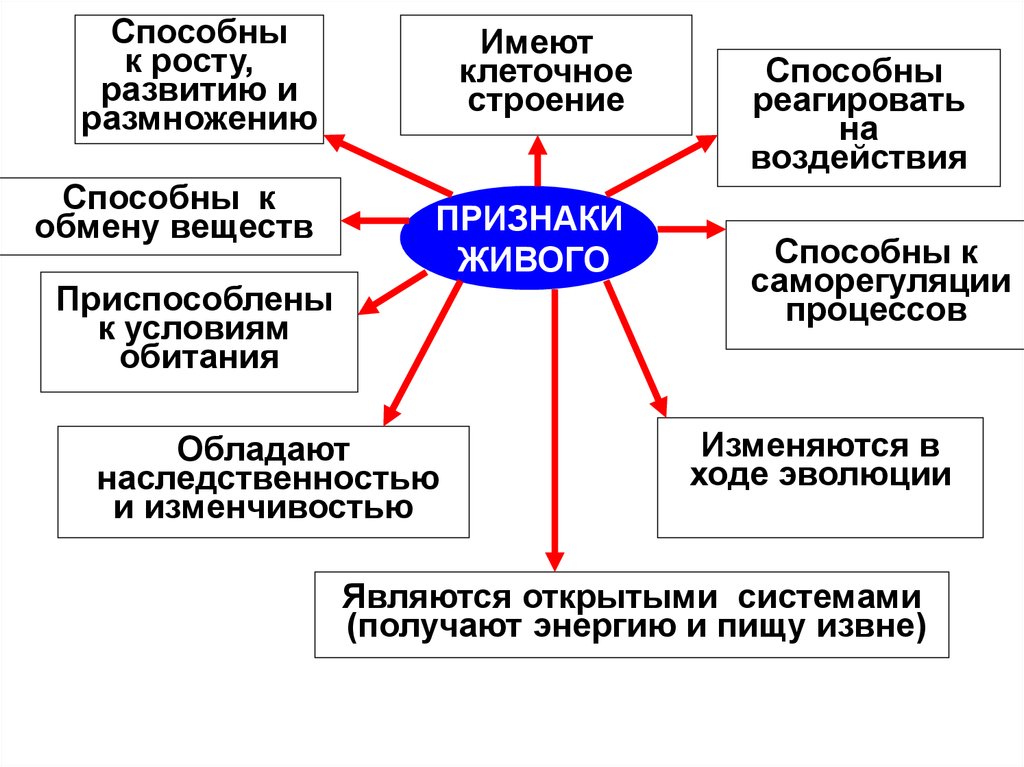 Признаки живого тесты