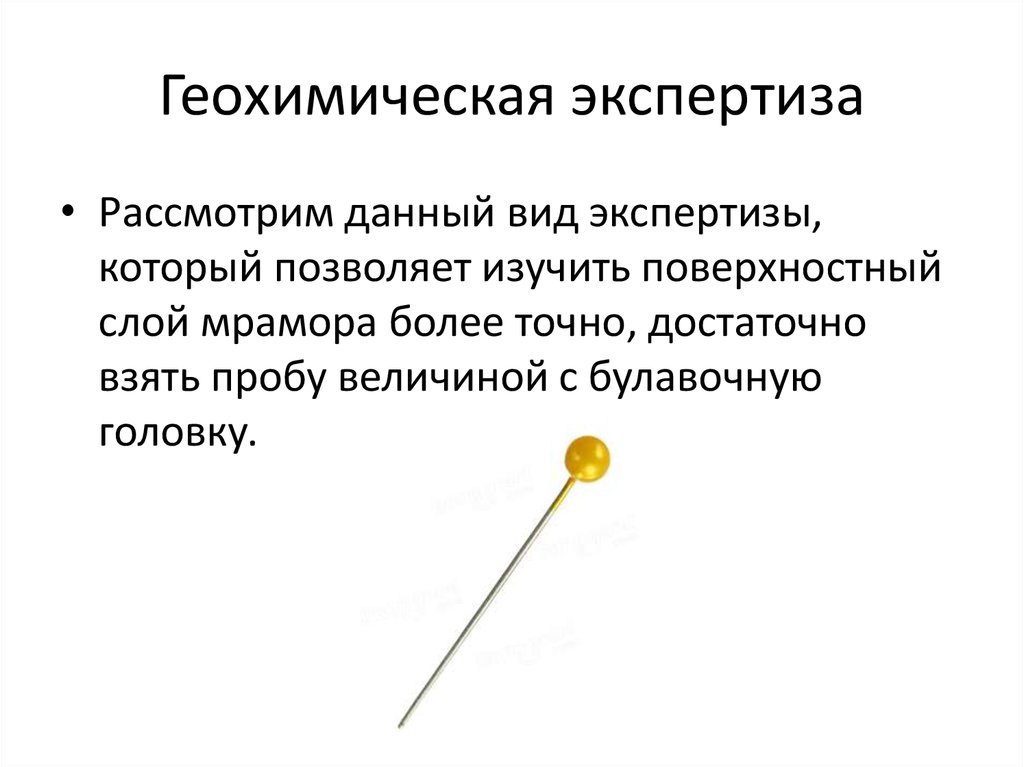 Геохимическая экспертиза