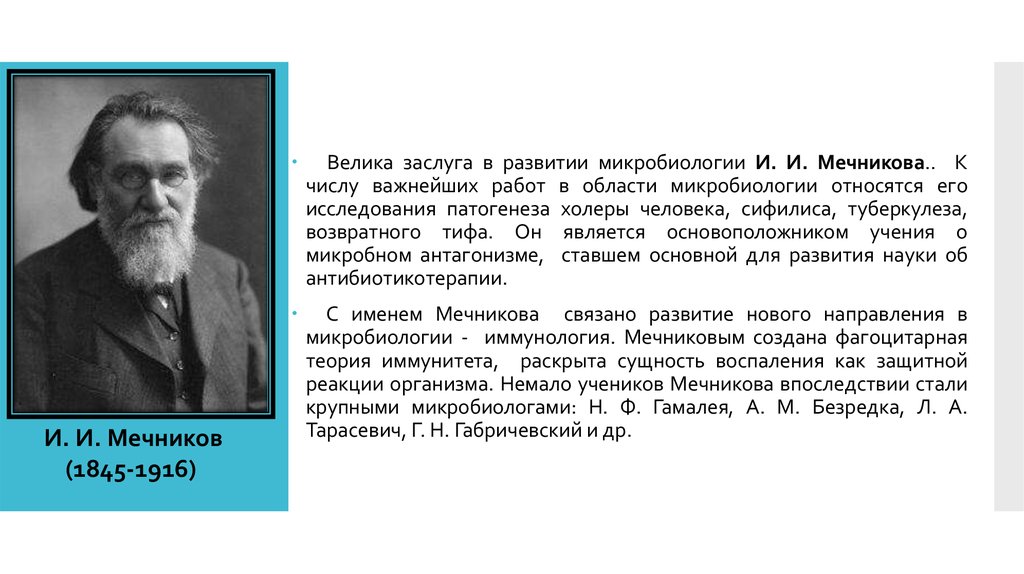 Мечников открыл. Заслуги Мечникова в развитии микробиологии. Вклад Мечникова в развитие. Мечников и.и. (1845-1916).