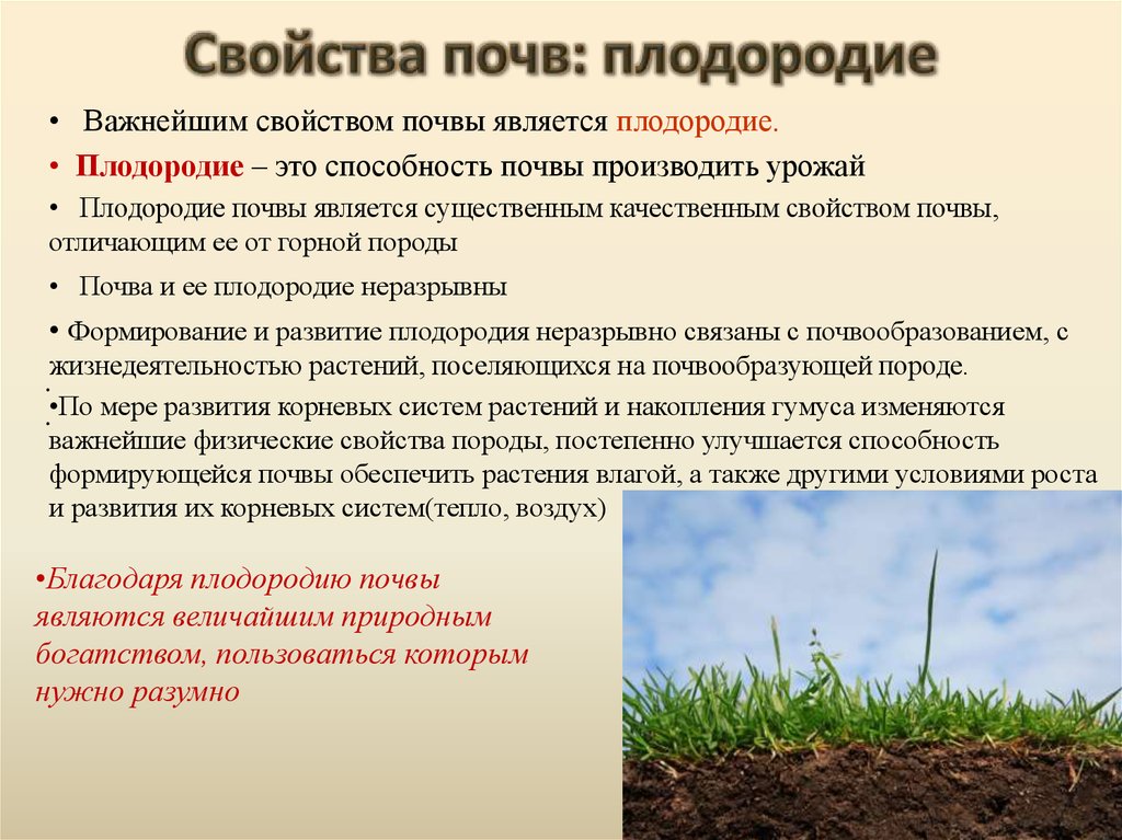 Плодородие зависит от содержания. Характеристика плодородной почвы. Снижение плодородия почв. Оценка плодородия почв. Меры по сохранению почв.