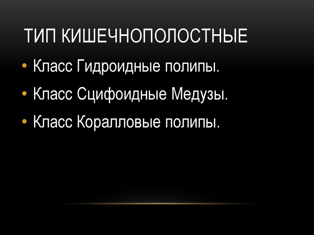 Тип кишечнополостные