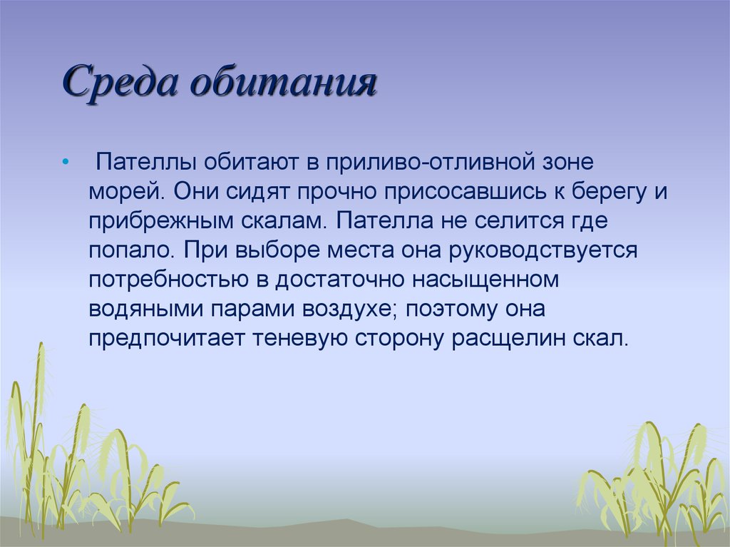 Среда обитания