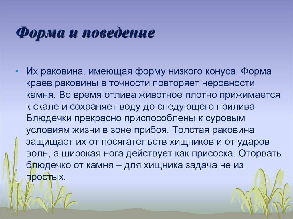 Форма и поведение