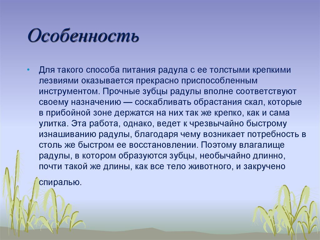 Особенность