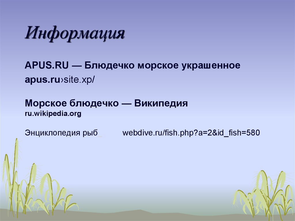 Информация