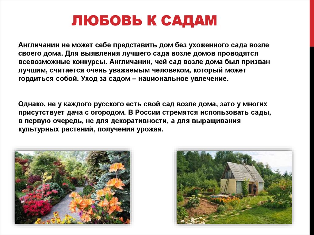 Вся россия наш сад чьи слова. Любовь англичан к садам.