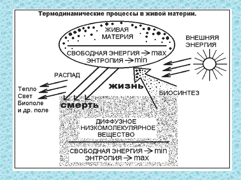 Живая материя. Живая материя это в биологии. Превращение энергии в материю. Процесс превращения энергии в материю. Связь материи и энергии.