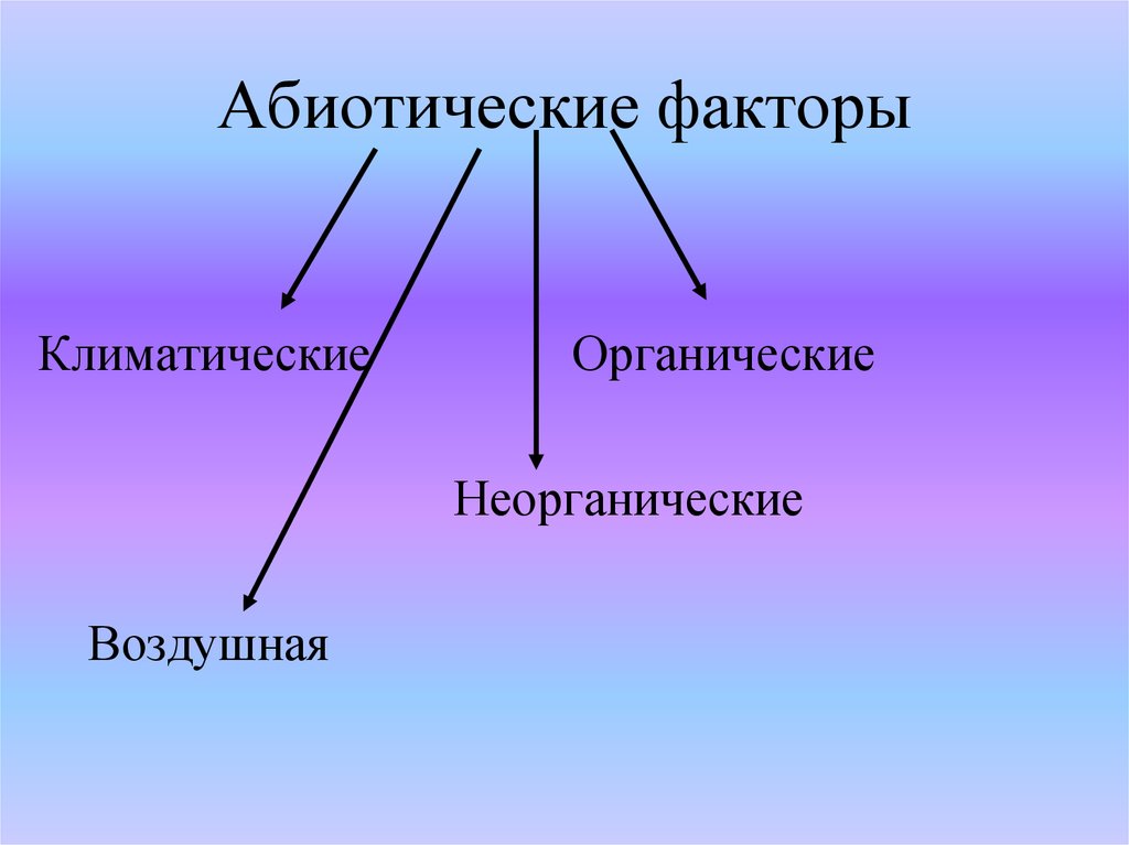 Абиотические факторы картинки для презентации