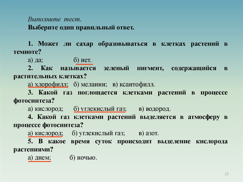 Выберите один правильный ответ