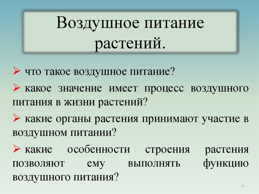 Что такое воздушное питание растений