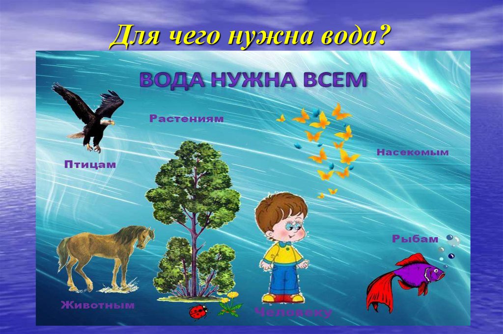 Зачем вода. Кому нужна вода. Зачем нужна вода. Кому нужна вода для дошкольников. Кому нужна Ода для детей.