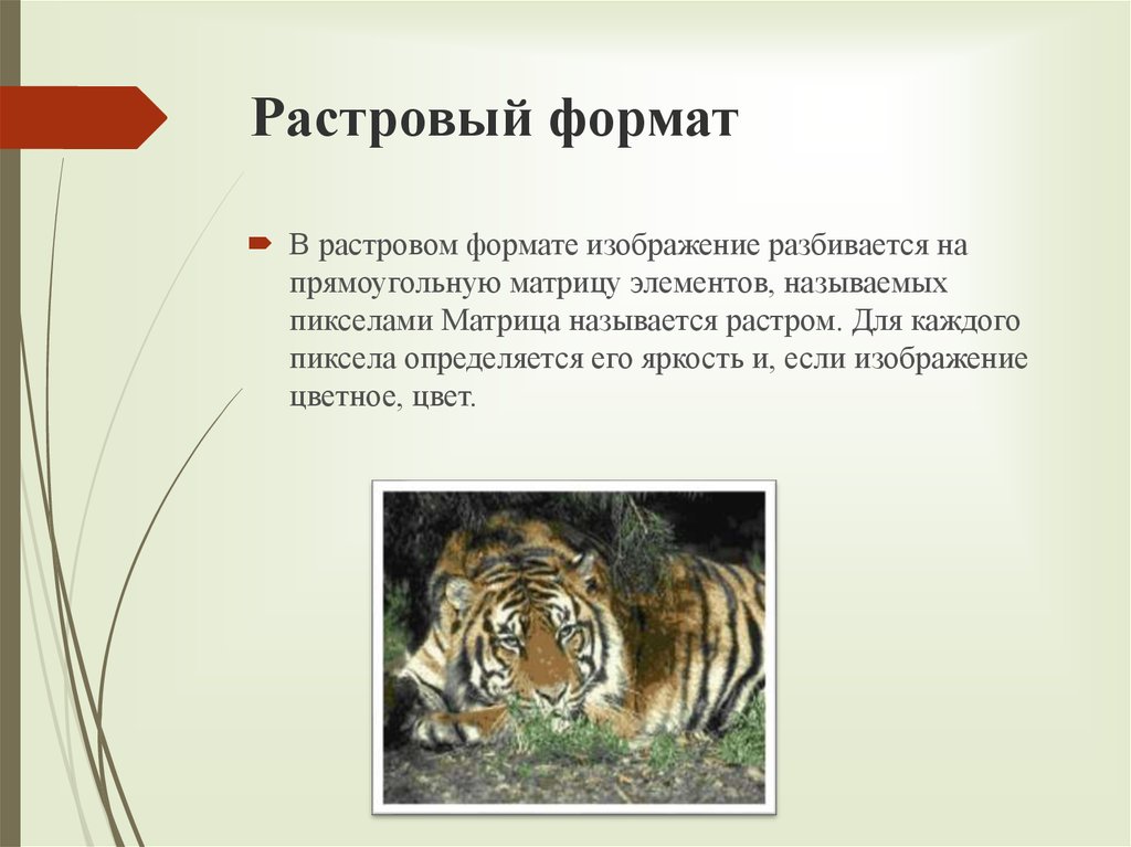 Принципы представления данных и команд в компьютере презентация